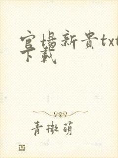 官场新贵txt下载