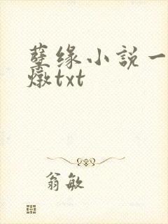 孽缘小说一家乱炖txt