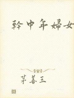 干中年妇女小说