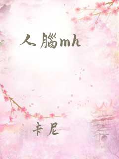 人脑mh