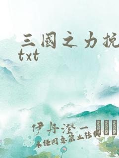 三国之力挽狂澜txt
