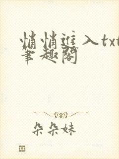悄悄进入txt笔趣阁