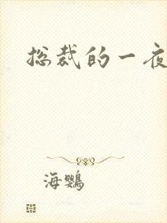 总裁的一夜情人