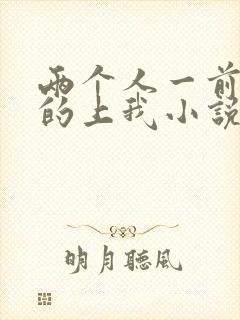 两个人一前一后的上我小说