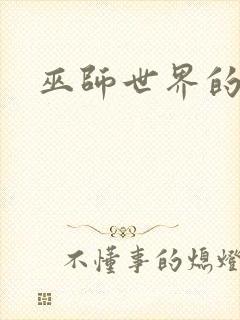 巫师世界的法师