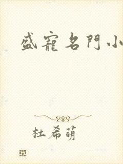 盛宠名门小夫人