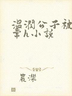 温润公子被脔日常h小说