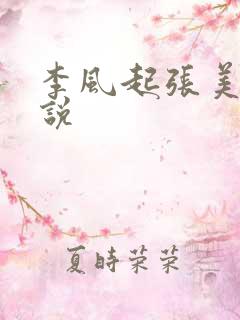 李风起张美丽小说