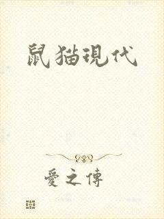 鼠猫现代