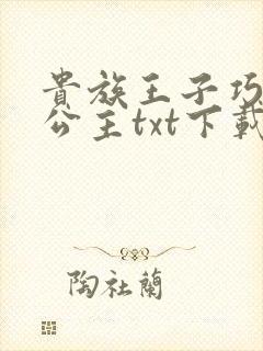 贵族王子巧遇穷公主txt下载