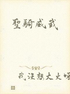 圣骑威武