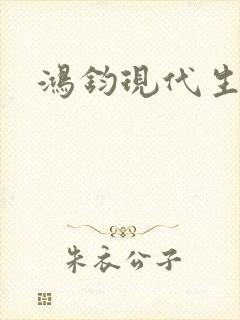 鸿钧现代生活录