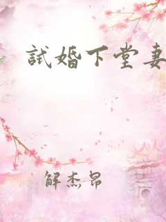 试婚下堂妻