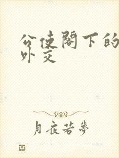 公使阁下的秘密外交