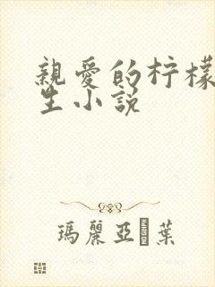 亲爱的柠檬精先生小说