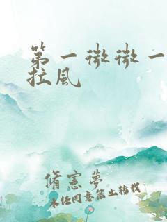 第一微微一笑很拉风