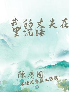 我的丈夫在冰箱里沉睡