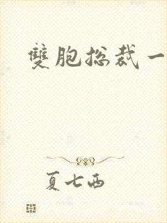 双胞总裁一个妻