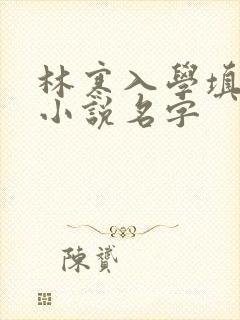 林寒入学填未婚小说名字