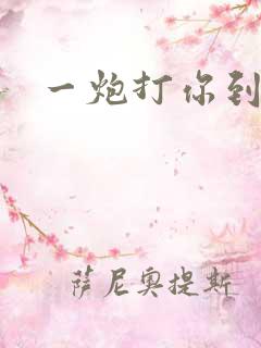 一炮打你到天亮