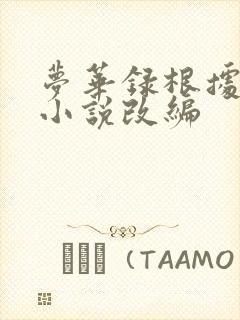 梦华录根据什么小说改编