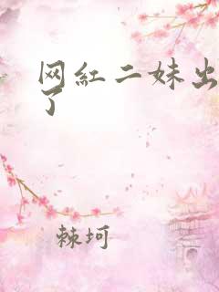 网红二妹出啥事了