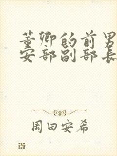 董卿的前男友公安部副部长