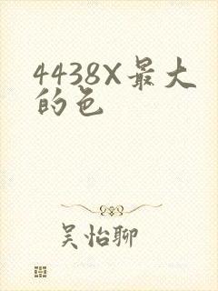 4438X最大的色