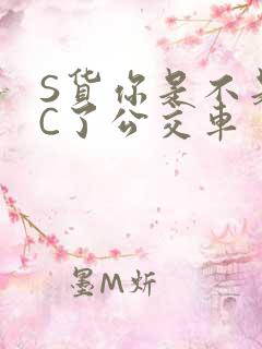 S货你是不是欠C了公交车