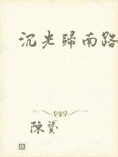 沉光归南路