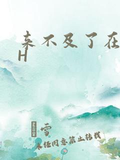 来不及了在车CH