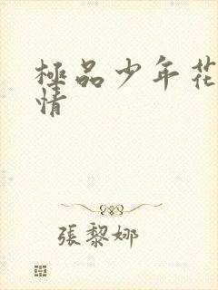 极品少年花都燃情