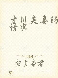 才川夫妻的恋爱情况