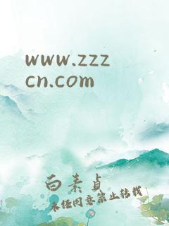www.zzzcn.com