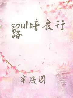 soul暗夜行路