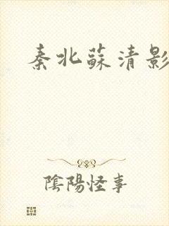 秦北苏清影小说
