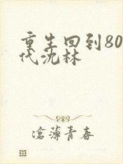 重生回到80年代沈林