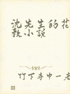 沈先生的花式调教小说