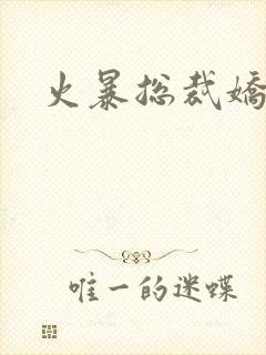 火暴总裁娇柔妻