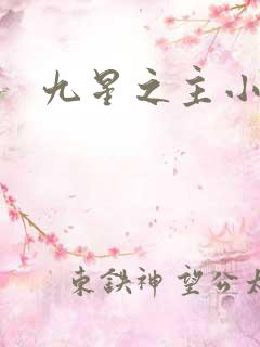九星之主小说