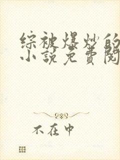 综被爆炒的日常小说免费阅读