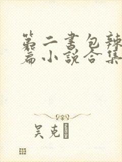 第二书包辣网短篇小说合集