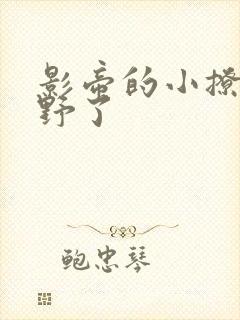 影帝的小撩精太野了