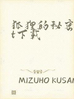 狐狸的秘密txt下载