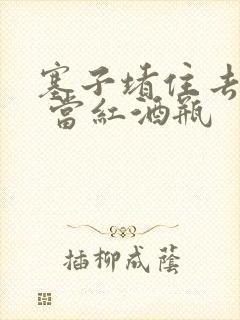 塞子堵住去上学 当红酒瓶