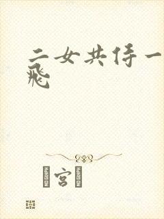 二女共侍一夫双飞