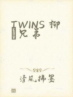 TWINS 柳澤兄弟