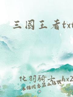 三国王者txt