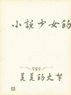 小说少女的心