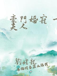 豪门婚宠 一品夫人